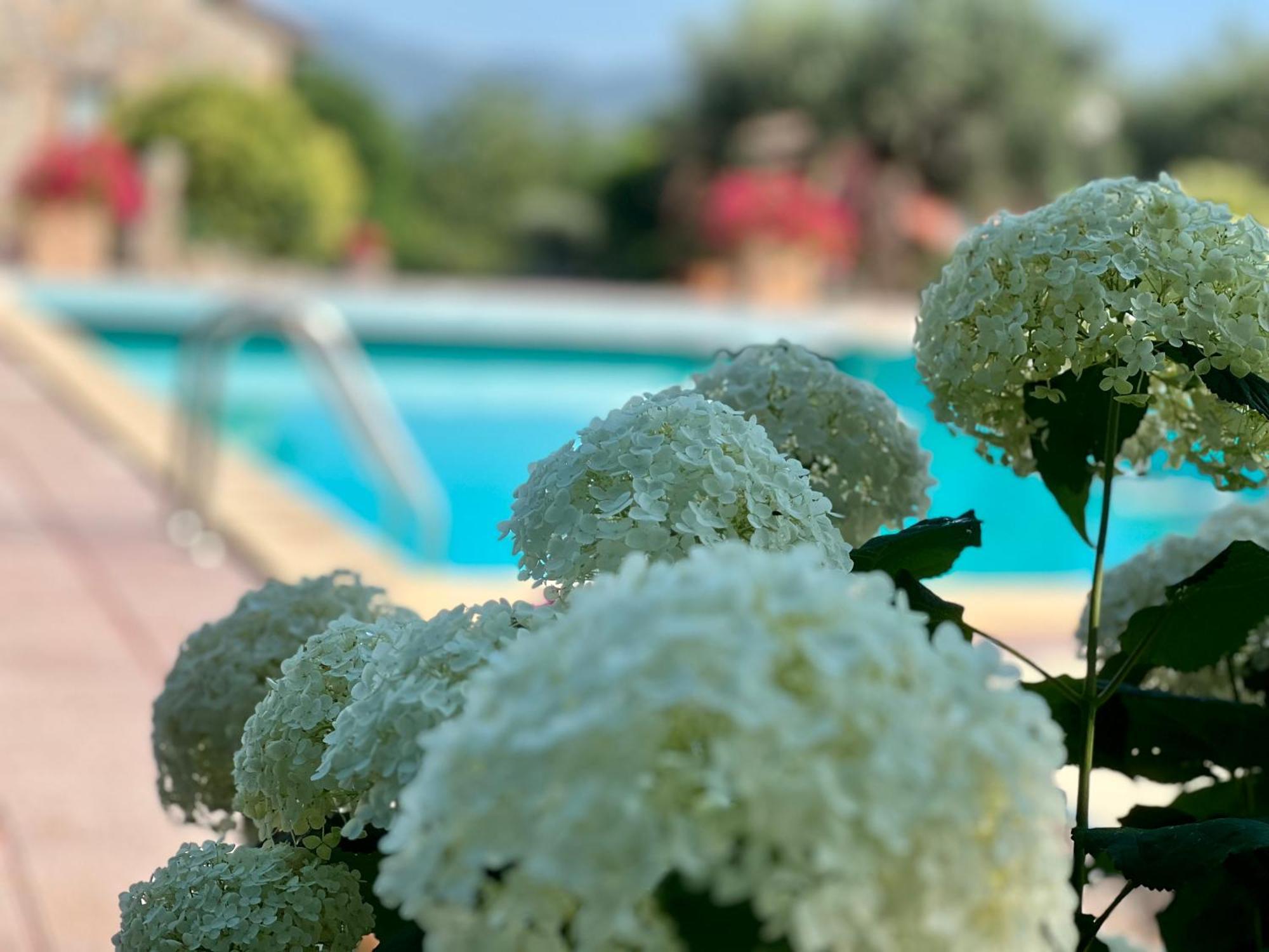 Le Case Di Lisetta Holiday Homes Corciano Exterior photo