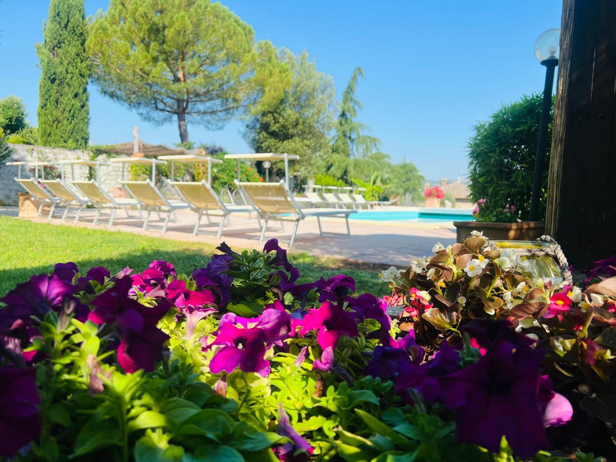 Le Case Di Lisetta Holiday Homes Corciano Exterior photo
